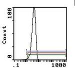 CD147 Antibody in Flow Cytometry (Flow)