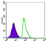 CD23 Antibody in Flow Cytometry (Flow)