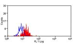 B7-H3 Antibody in Flow Cytometry (Flow)