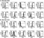 CD44 Antibody in Flow Cytometry (Flow)