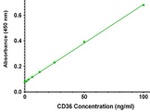 CD36 Antibody in ELISA (ELISA)