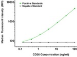 CD36 Antibody in Luminex (LUM)