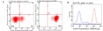 CD47 Antibody in Flow Cytometry (Flow)