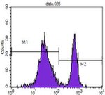 CD4 Antibody in Flow Cytometry (Flow)