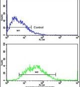 CDH9 Antibody in Flow Cytometry (Flow)