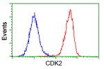 CDK2 Antibody in Flow Cytometry (Flow)