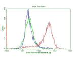 CDKN2A Antibody in Flow Cytometry (Flow)