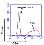 CEA Antibody in Flow Cytometry (Flow)