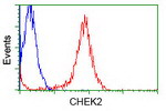 CHEK2 Antibody in Flow Cytometry (Flow)