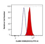 DKK3 Antibody in Flow Cytometry (Flow)