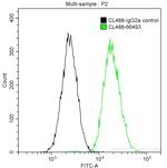 PKC iota Antibody in Flow Cytometry (Flow)