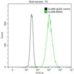 CALD1 Antibody in Flow Cytometry (Flow)