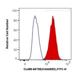 ATG13 Antibody in Flow Cytometry (Flow)