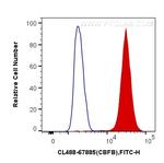 CBFB Antibody in Flow Cytometry (Flow)