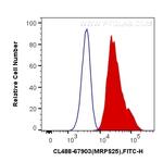 MRPS25 Antibody in Flow Cytometry (Flow)