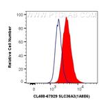 SLC36A3 Antibody in Flow Cytometry (Flow)