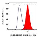 STK11/LKB1 Antibody in Flow Cytometry (Flow)