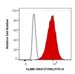 Thymidylate synthase Antibody in Flow Cytometry (Flow)