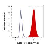 PBK Antibody in Flow Cytometry (Flow)