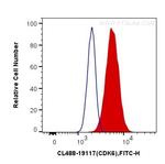 CDK6 Antibody in Flow Cytometry (Flow)