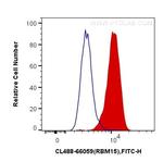 RBM15 Antibody in Flow Cytometry (Flow)