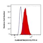 SOX10 Antibody in Flow Cytometry (Flow)