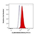 TDRKH Antibody in Flow Cytometry (Flow)