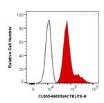 Beta Actin Antibody in Flow Cytometry (Flow)