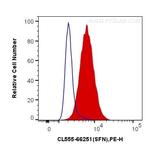 14-3-3 Sigma Antibody in Flow Cytometry (Flow)