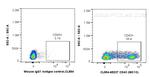 CD43 Antibody in Flow Cytometry (Flow)