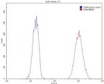 beta Actin Antibody in Flow Cytometry (Flow)