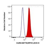 MFN1 Antibody in Flow Cytometry (Flow)