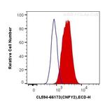 CNPY2, MSAP Antibody in Flow Cytometry (Flow)