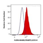 CRABP2 Antibody in Flow Cytometry (Flow)