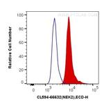 NEK2 Antibody in Flow Cytometry (Flow)