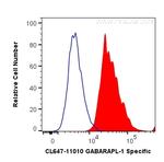 GABARAPL1 Antibody in Flow Cytometry (Flow)