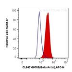 Beta Actin Antibody in Flow Cytometry (Flow)