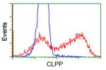 CLPP Antibody in Flow Cytometry (Flow)