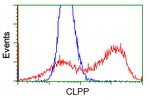 CLPP Antibody in Flow Cytometry (Flow)
