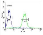 CNGA2 Antibody in Flow Cytometry (Flow)