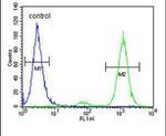 CNPY2 Antibody in Flow Cytometry (Flow)