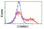 COMMD1 Antibody in Flow Cytometry (Flow)