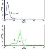 CPN2 Antibody in Flow Cytometry (Flow)