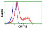 CRYAB Antibody in Flow Cytometry (Flow)