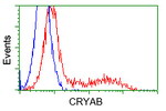 CRYAB Antibody in Flow Cytometry (Flow)