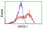 CRYZL1 Antibody in Flow Cytometry (Flow)