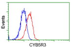 CYB5R3 Antibody in Flow Cytometry (Flow)
