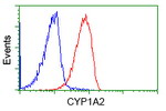 CYP1A2 Antibody in Flow Cytometry (Flow)