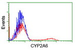 CYP2A6 Antibody in Flow Cytometry (Flow)