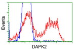 DAPK2 Antibody in Flow Cytometry (Flow)